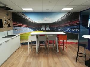 Toil-murale-acoustique-imprime-stade-Olympique-Lyonnais